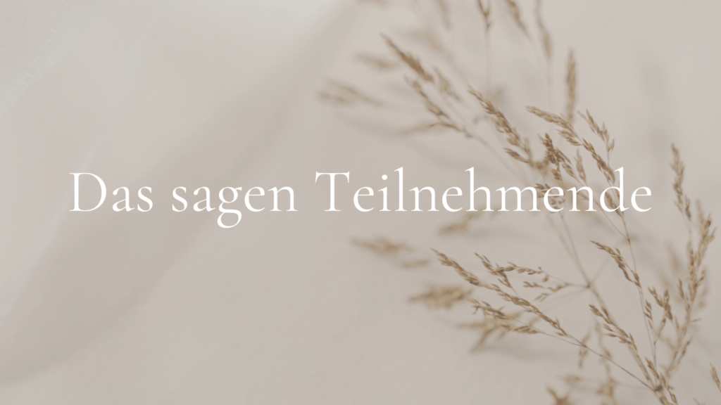 Werbung Insta (Website) fb